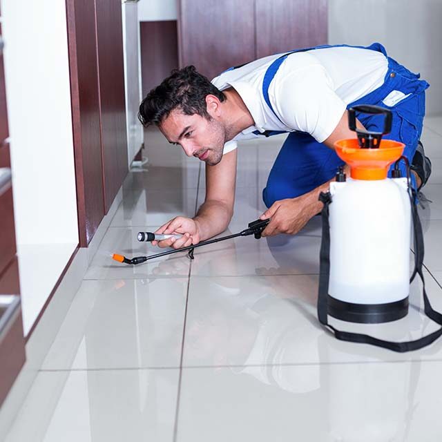 man-holding-torch-while-spraying-insecticide