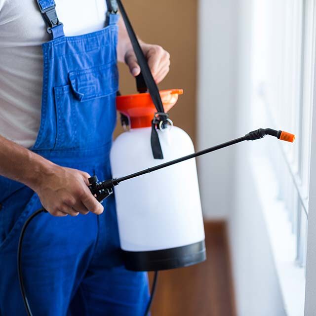 midsection-pest-control-worker-with-sprayer