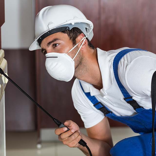 pest-worker-using-sprayer-cabinets-kitchen